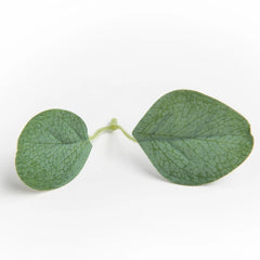 Silk Eucalyptus Rose Leaf
